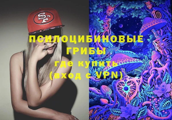 гидра Кулебаки