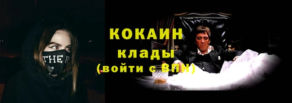 индика Краснотурьинск