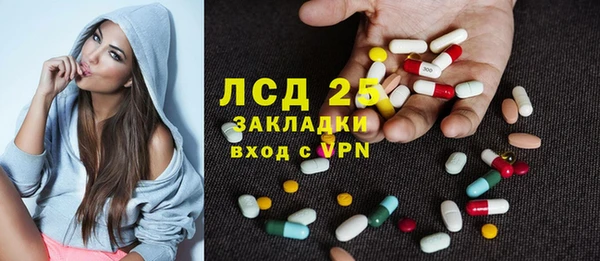 гидра Кулебаки