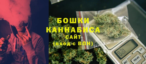 гидра Кулебаки