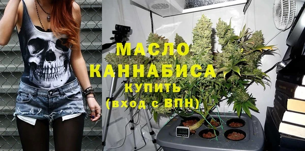 гидра Кулебаки