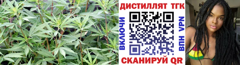 Купить закладки  Купино  Дистиллят ТГК Wax 