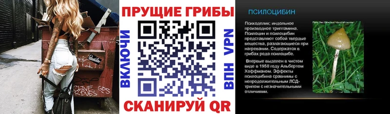 Купить где  Купино  Галлюциногенные грибы мицелий 